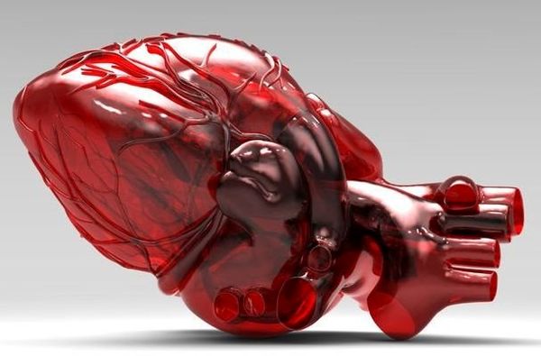 استفاده از پلاکت اصلاح شده بهعنوان نانوحامل سلول بنیادی قلب