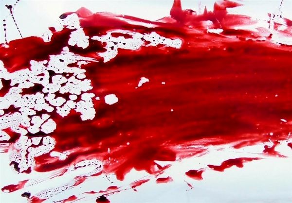 قاتلین 2 زن 40 و 25 ساله در خیابان شاهمرادی بازداشت شدند