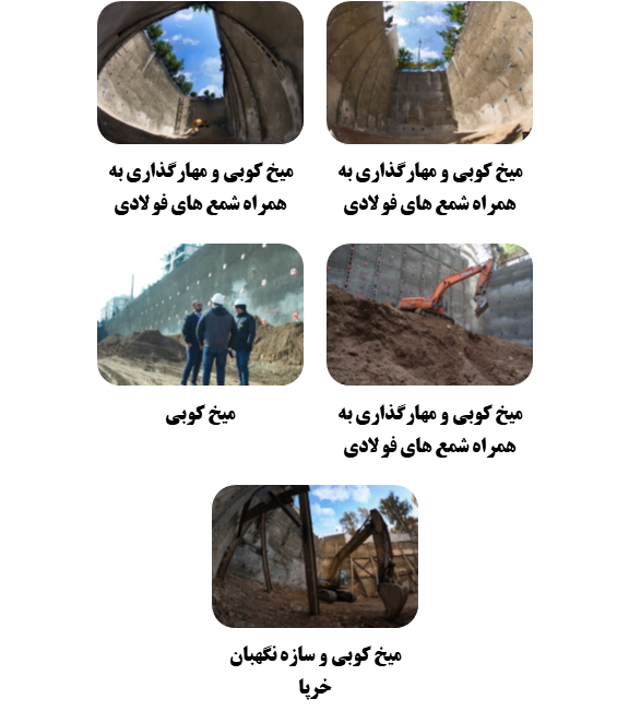 گود برداری